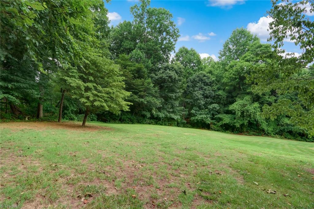 8200 Brittains Field Road Oak Ridge, NC 27310 - Photo 33 of 38 VIEW OF PRIVATE REAR YARD