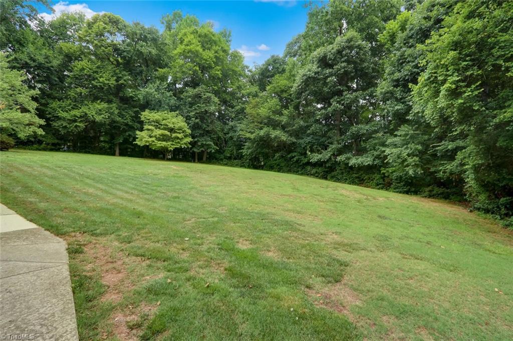 8200 Brittains Field Road Oak Ridge, NC 27310 - Photo 34 of 38 ANOTHER VIEW OF YARD