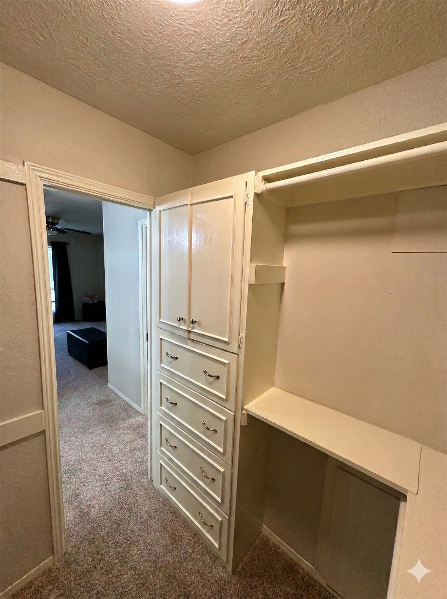 206 Verna Street Jasper, TX 75951 - Photo 19 of 29 Primary closet