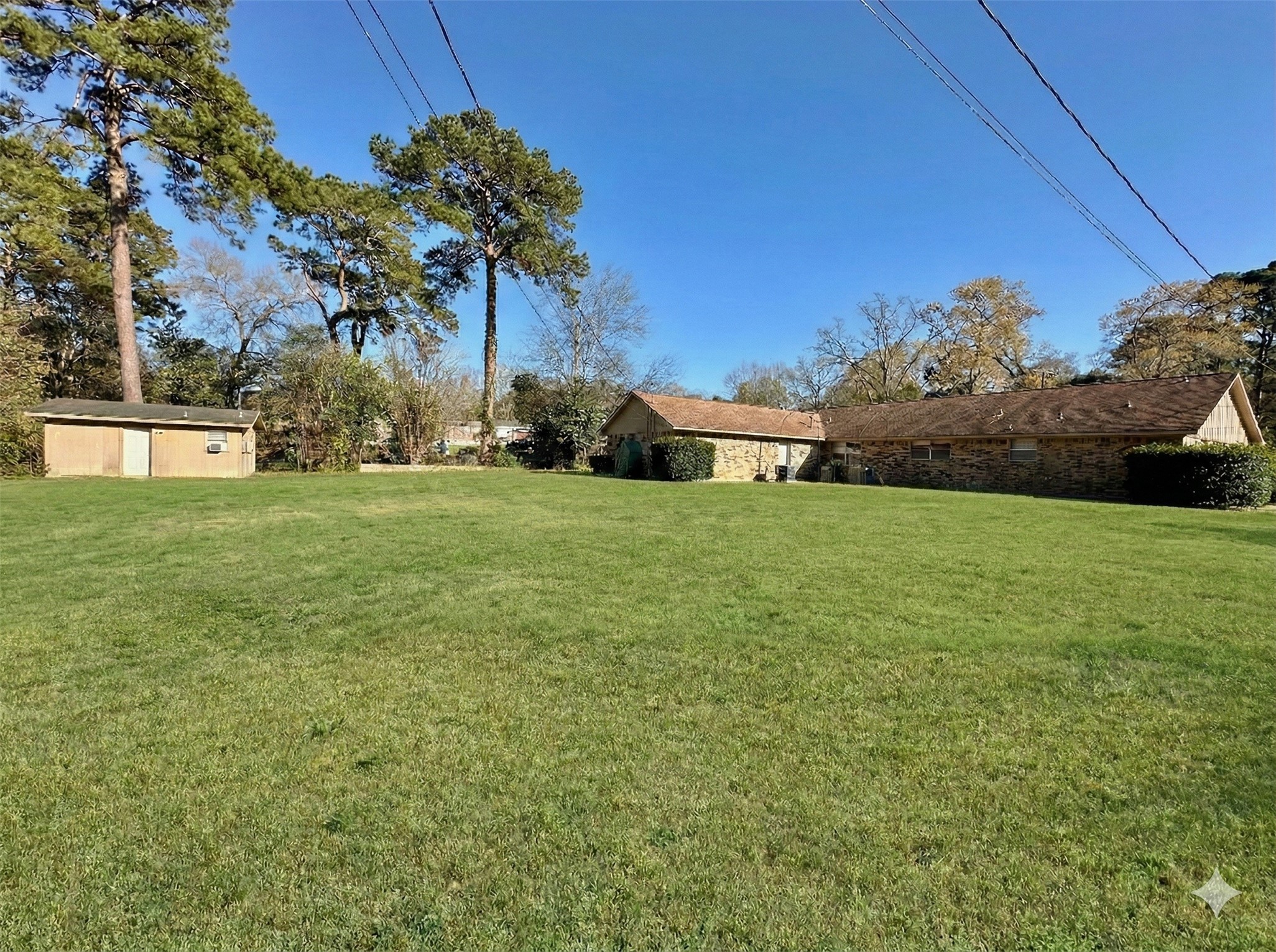 206 Verna Street Jasper, TX 75951 - Photo 5 of 29 Huge beautiful backyard