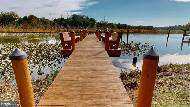 a wooden pier with boats and trees in the background