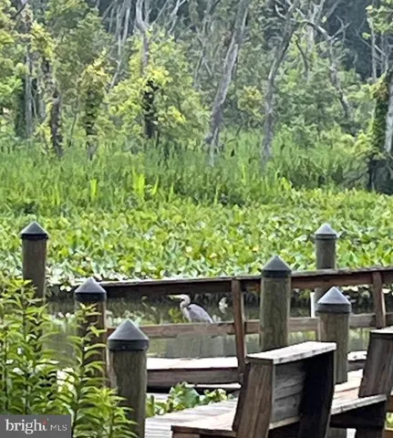 a view of a lake in front of a house