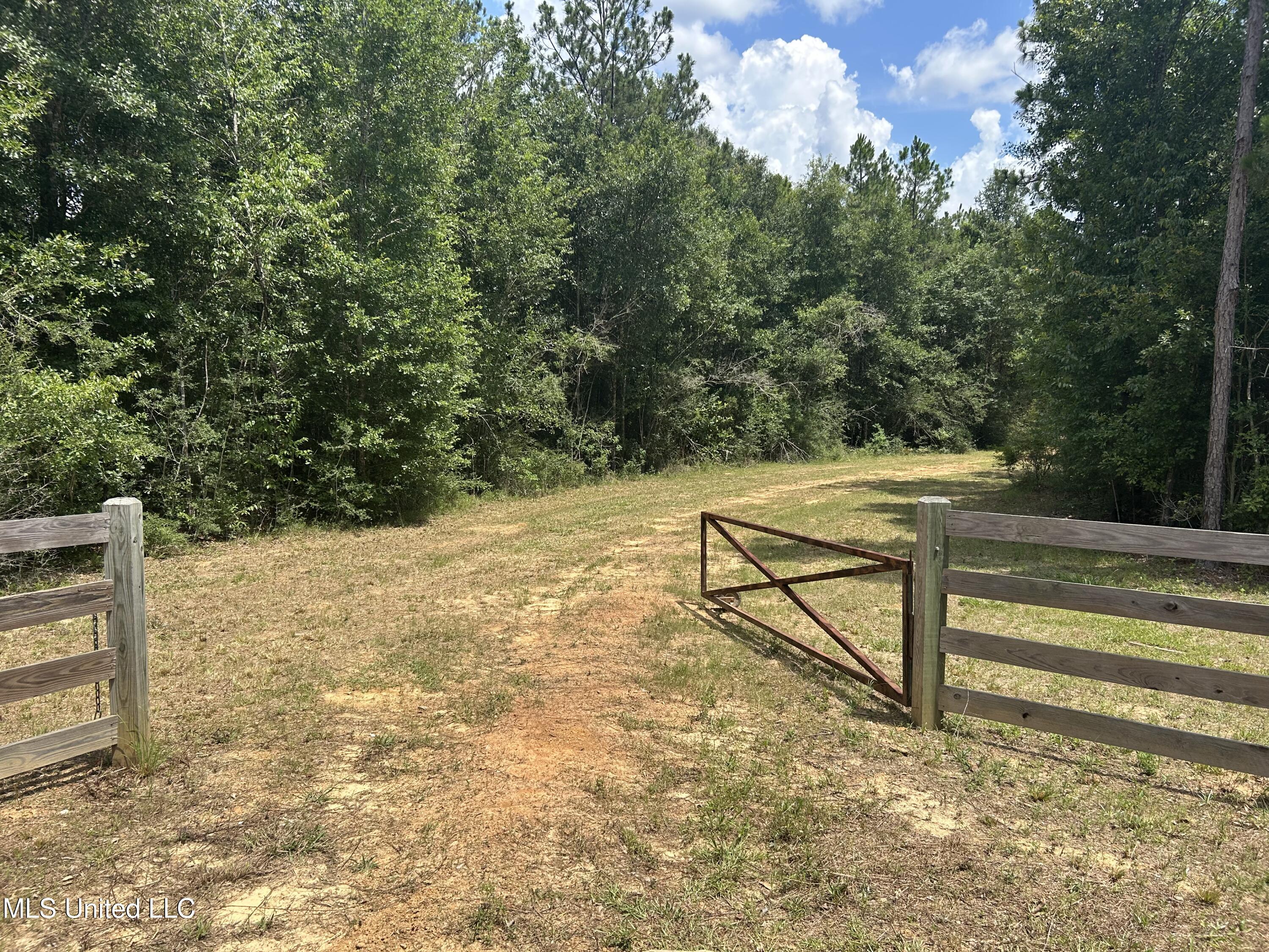 0 Highway 603 Highway Kiln, MS 39556 - Photo 14 of 19 IMG_7482
