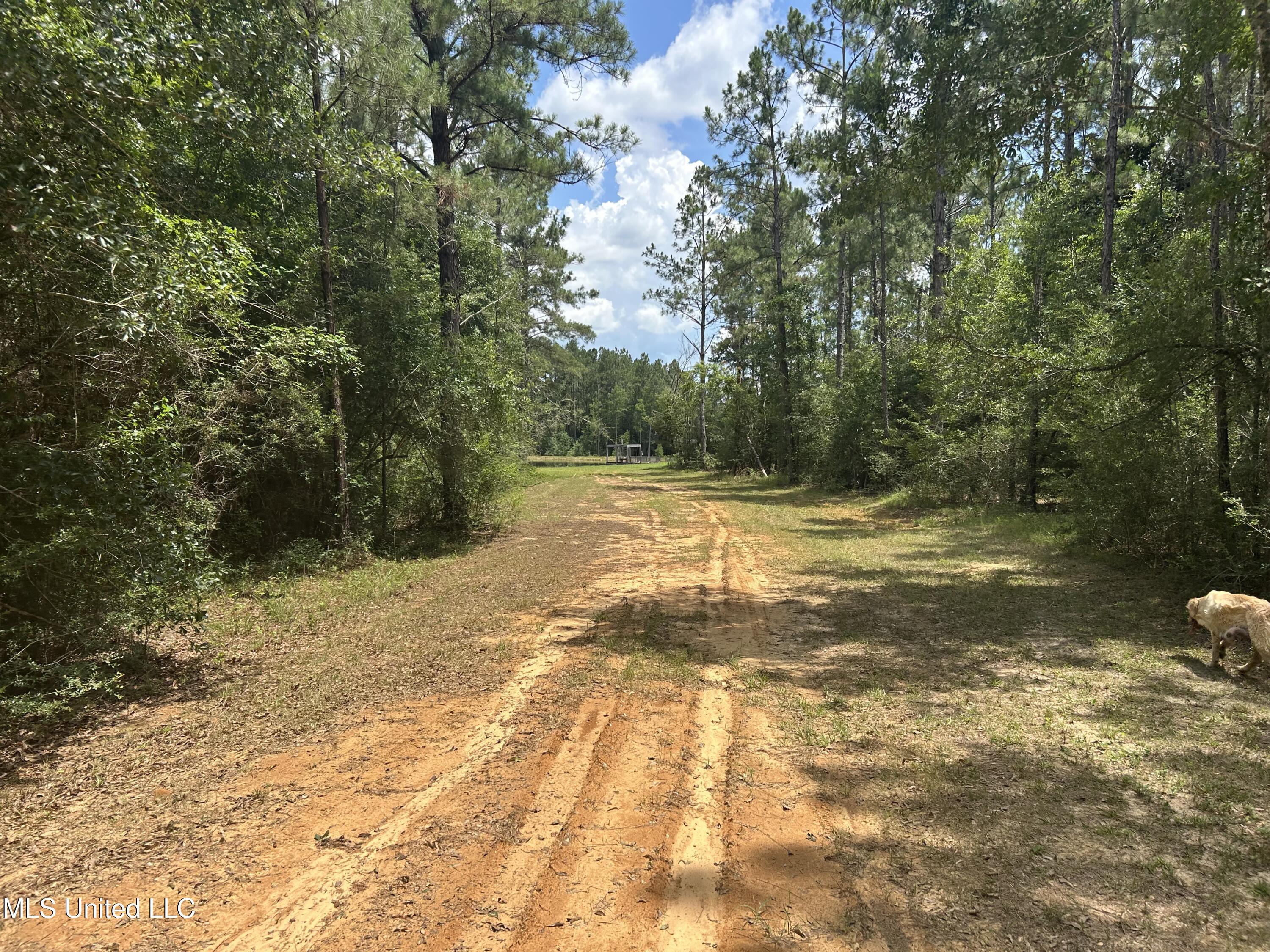 0 Highway 603 Highway Kiln, MS 39556 - Photo 15 of 19 IMG_7483
