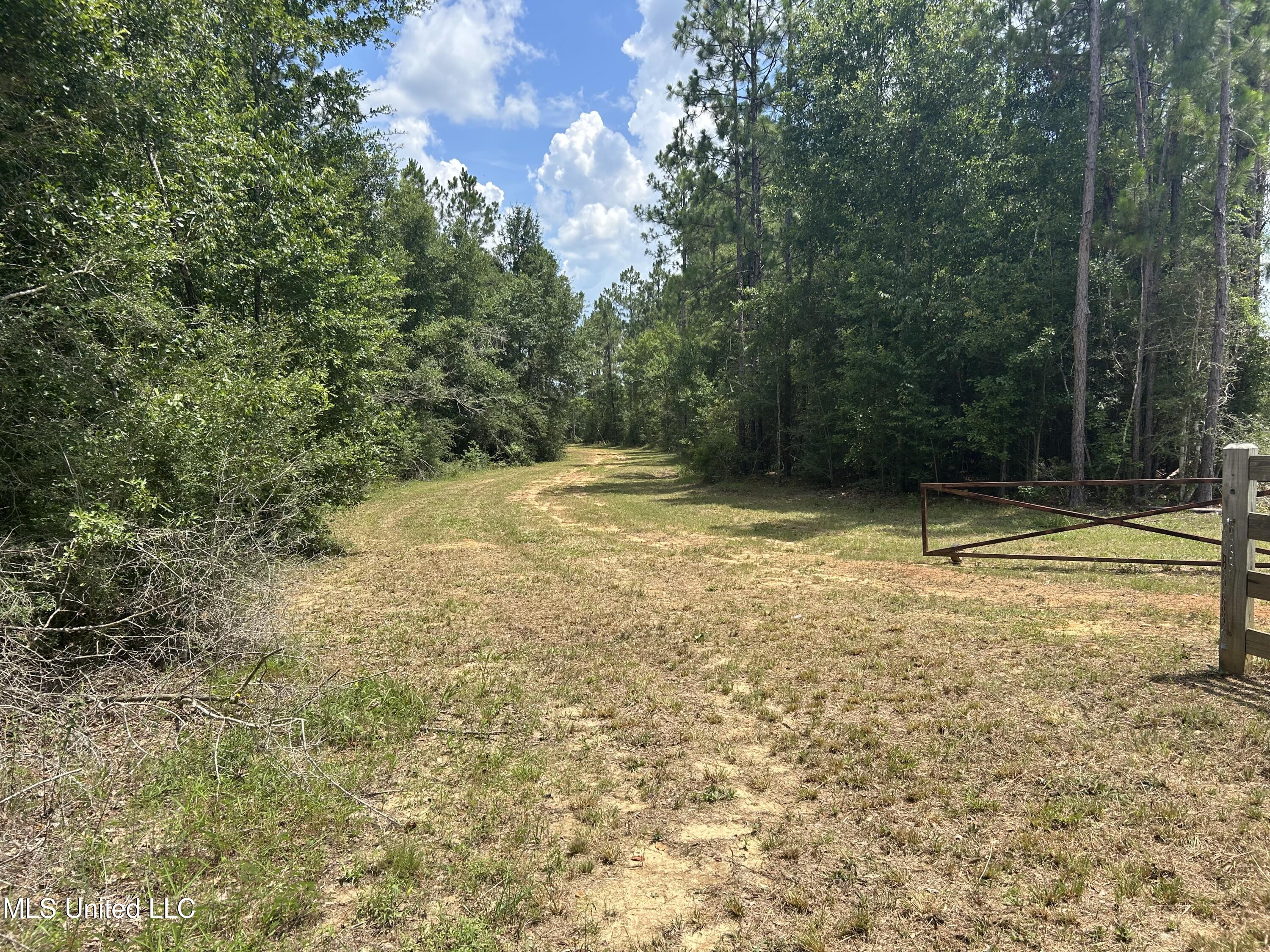 0 Highway 603 Highway Kiln, MS 39556 - Photo 16 of 19 IMG_7480