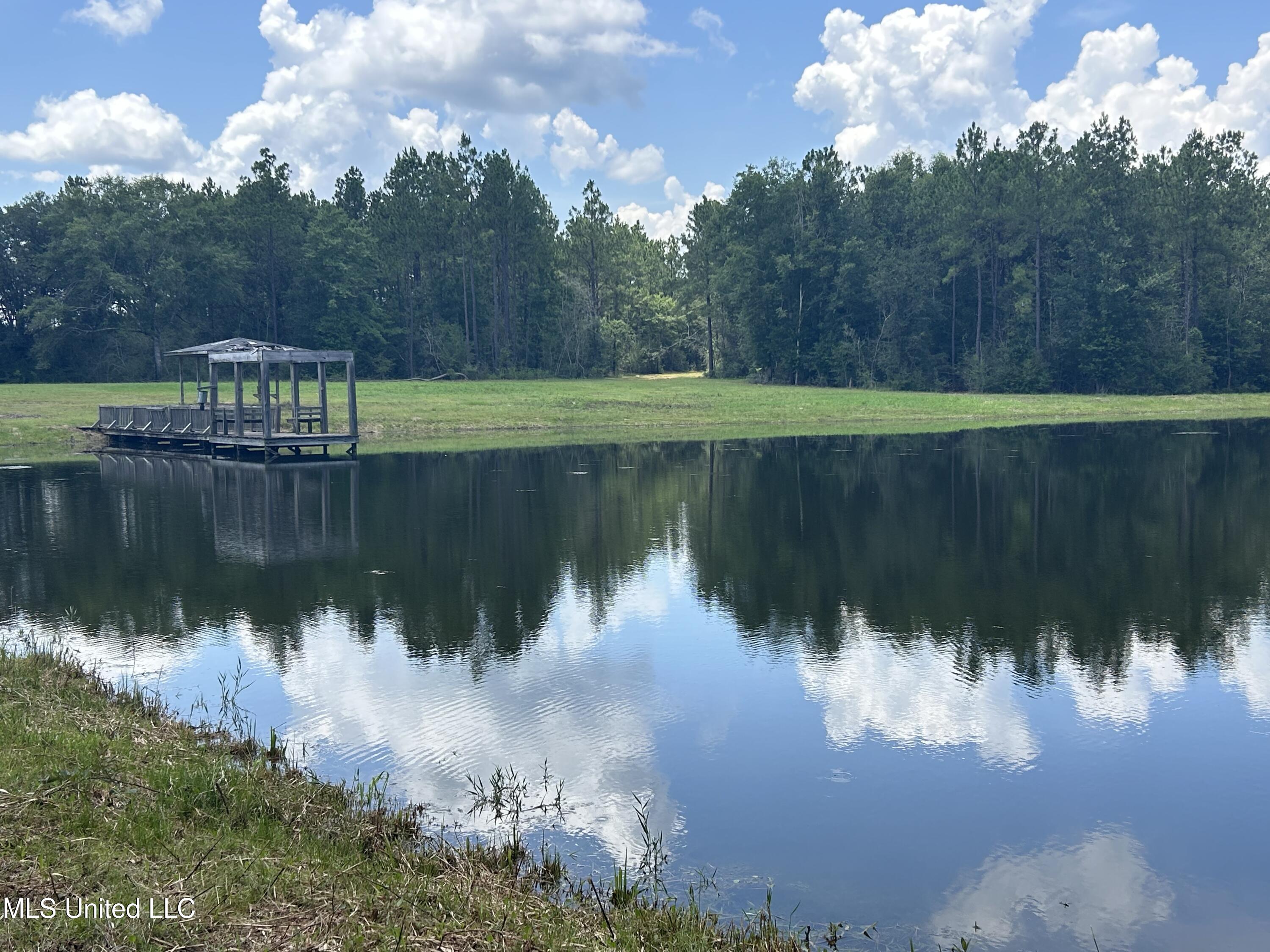 0 Highway 603 Highway Kiln, MS 39556 - Photo 10 of 19 IMG_7475