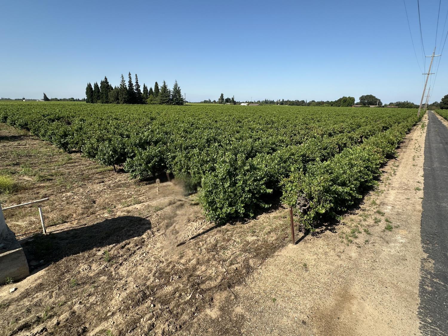 17966 Kroll Road Lodi, CA 95240 - Photo 4 of 4