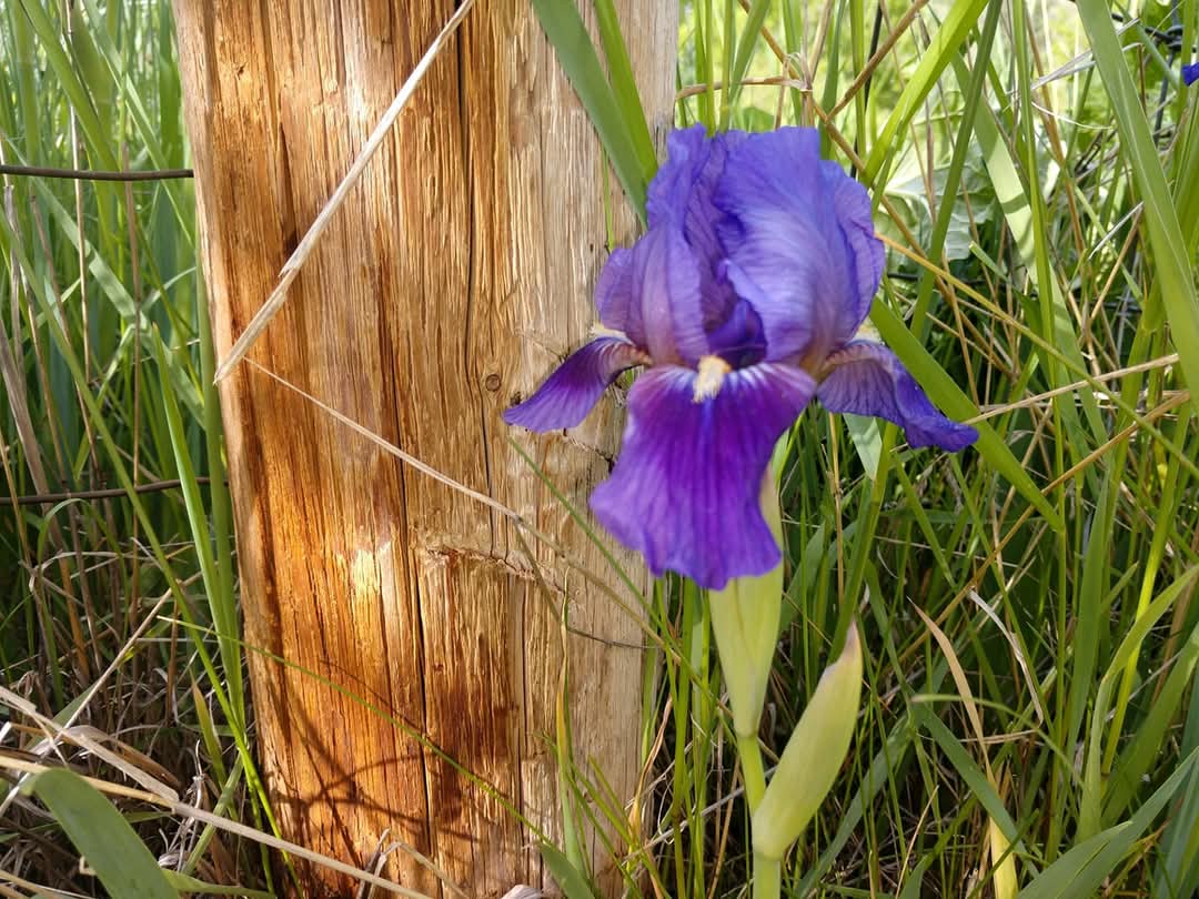 187 Edwards Gulch Road Drummond, MT 59832 - Photo 34 of 47 Gallery Image 34
