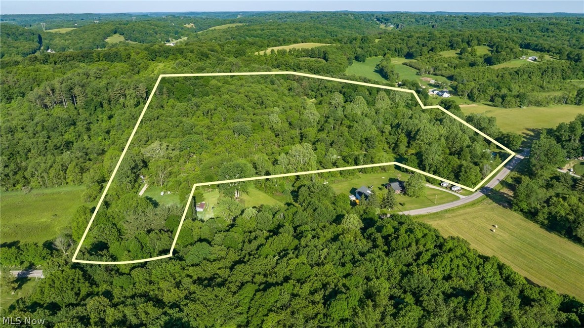 5911 Reform Road Northeast Newark, OH 43055 - Photo 17 of 19 Expansive wooded acreage featuring diverse tree coverage and multiple clearings