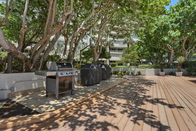 a view of a backyard with trees