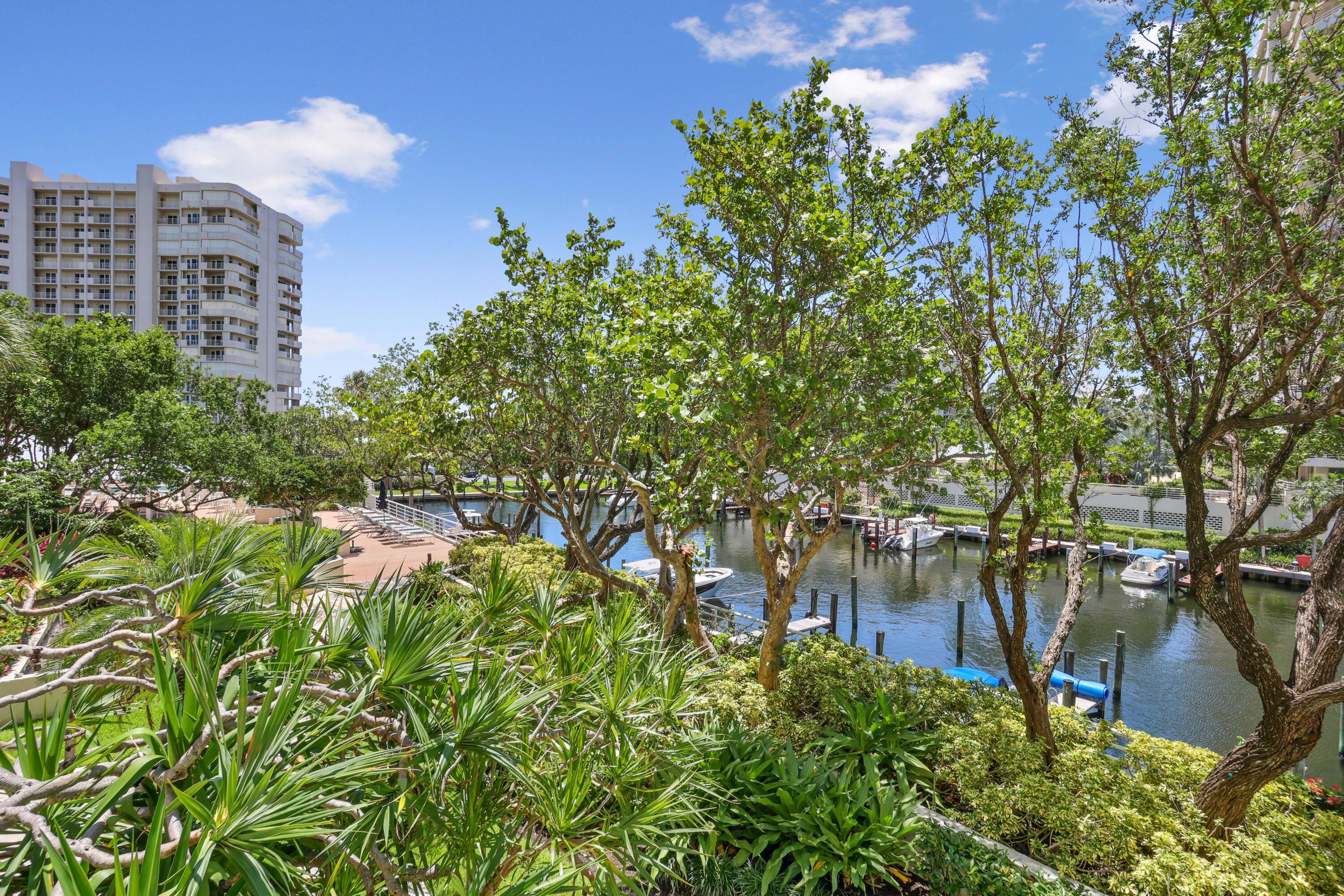 4201 North Ocean Boulevard, Unit 208 Boca Raton, FL 33431 - Photo 9 of 38 a picture of plants