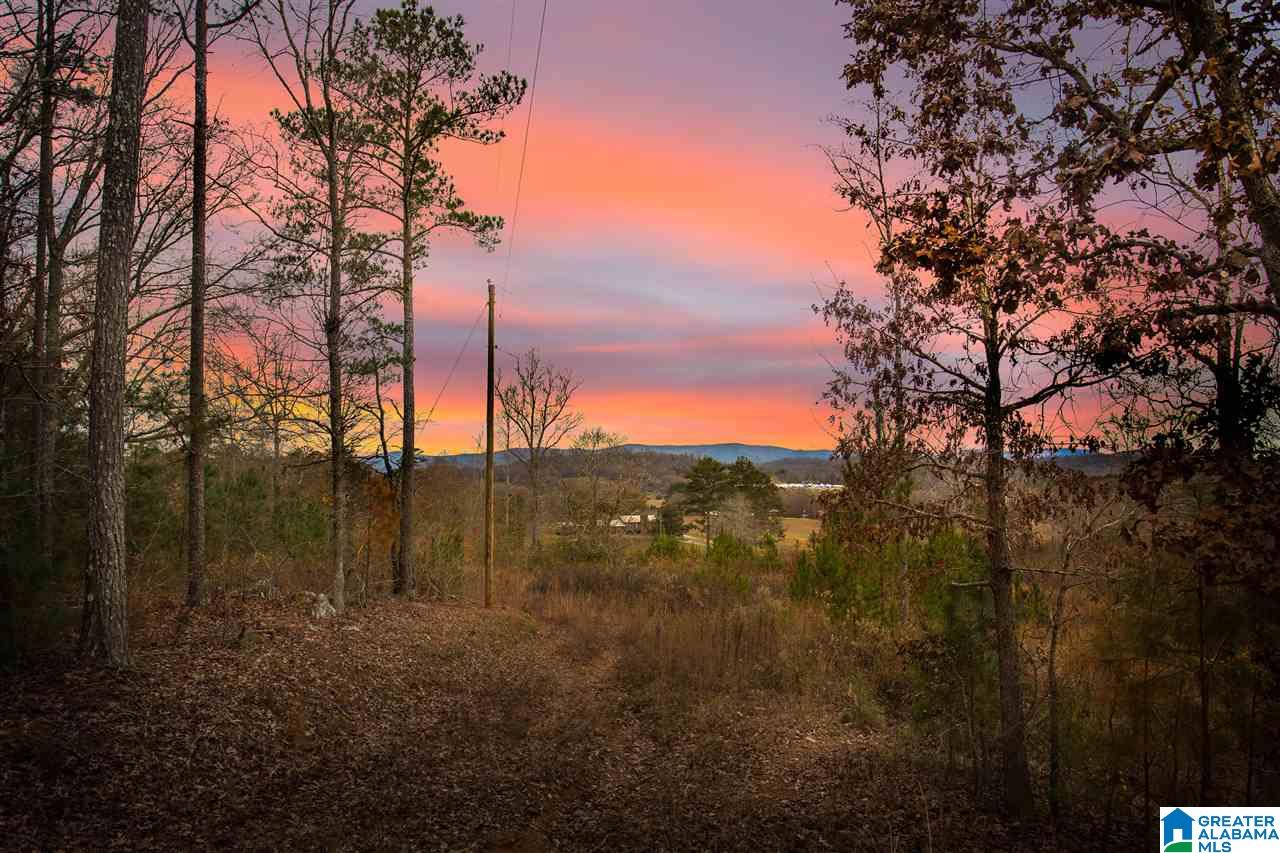 511 Tally Ho Road Anniston, AL 36207 - Photo 3 of 11