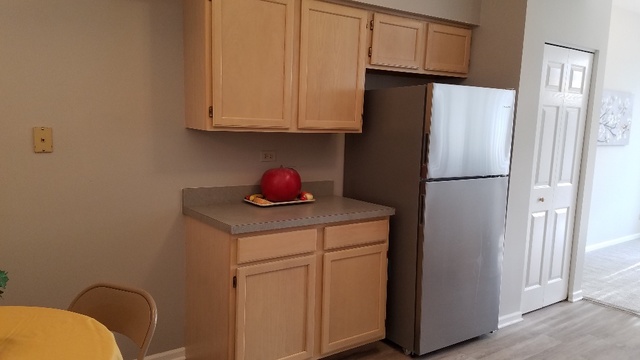 1008 Spring Court Darien, IL 60561 - Photo 17 of 42
