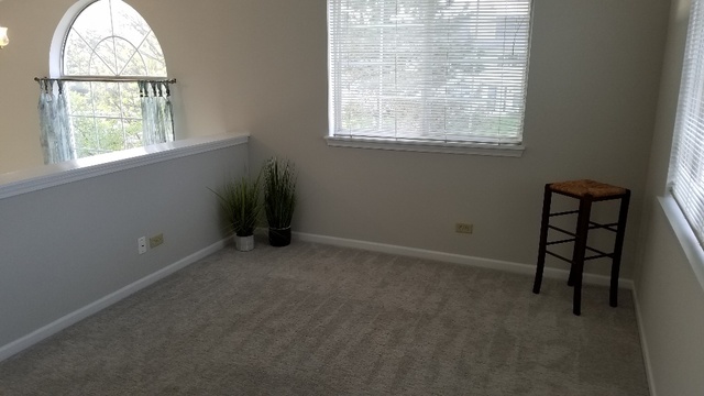 1008 Spring Court Darien, IL 60561 - Photo 24 of 42