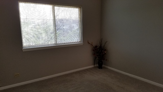 1008 Spring Court Darien, IL 60561 - Photo 28 of 42