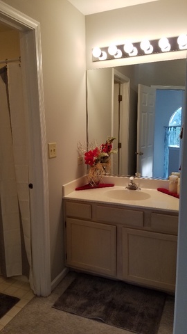 1008 Spring Court Darien, IL 60561 - Photo 29 of 42