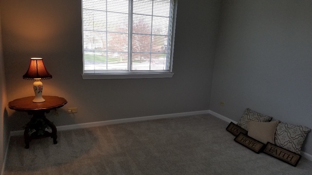 1008 Spring Court Darien, IL 60561 - Photo 32 of 42