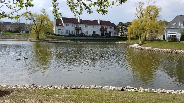 1008 Spring Court Darien, IL 60561 - Photo 39 of 42