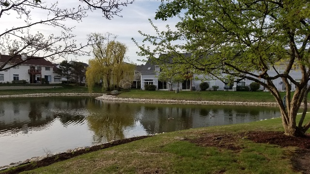 1008 Spring Court Darien, IL 60561 - Photo 40 of 42