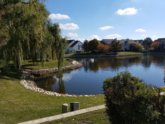 1008 Spring Court Darien, IL 60561 - Photo 42 of 42