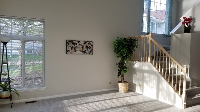 1008 Spring Court Darien, IL 60561 - Photo 10 of 42