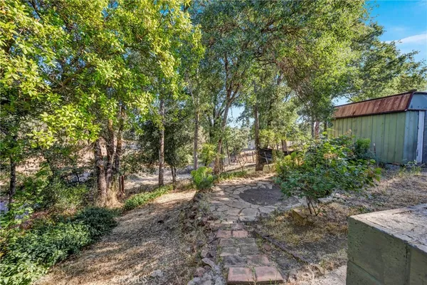 a view of a pathway of a yard with plants and wooden fence