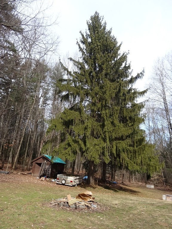 10 Lake Mattawa Road Orange, MA 01364 - Photo 26 of 29 Gallery Image 26