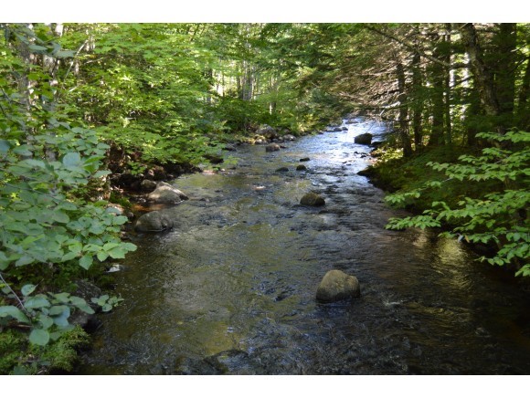 394-372 Roby Road Warner, NH 03278 - Photo 6 of 9