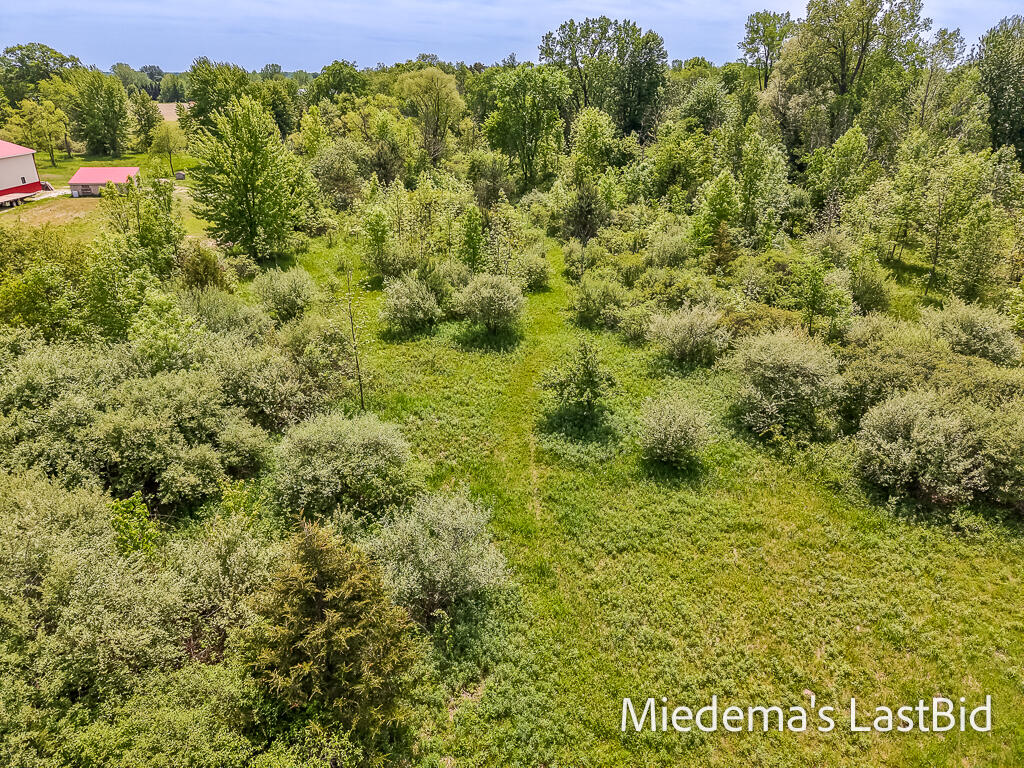 7764 Fillmore Street Allendale, MI 49401 - Photo 20 of 24