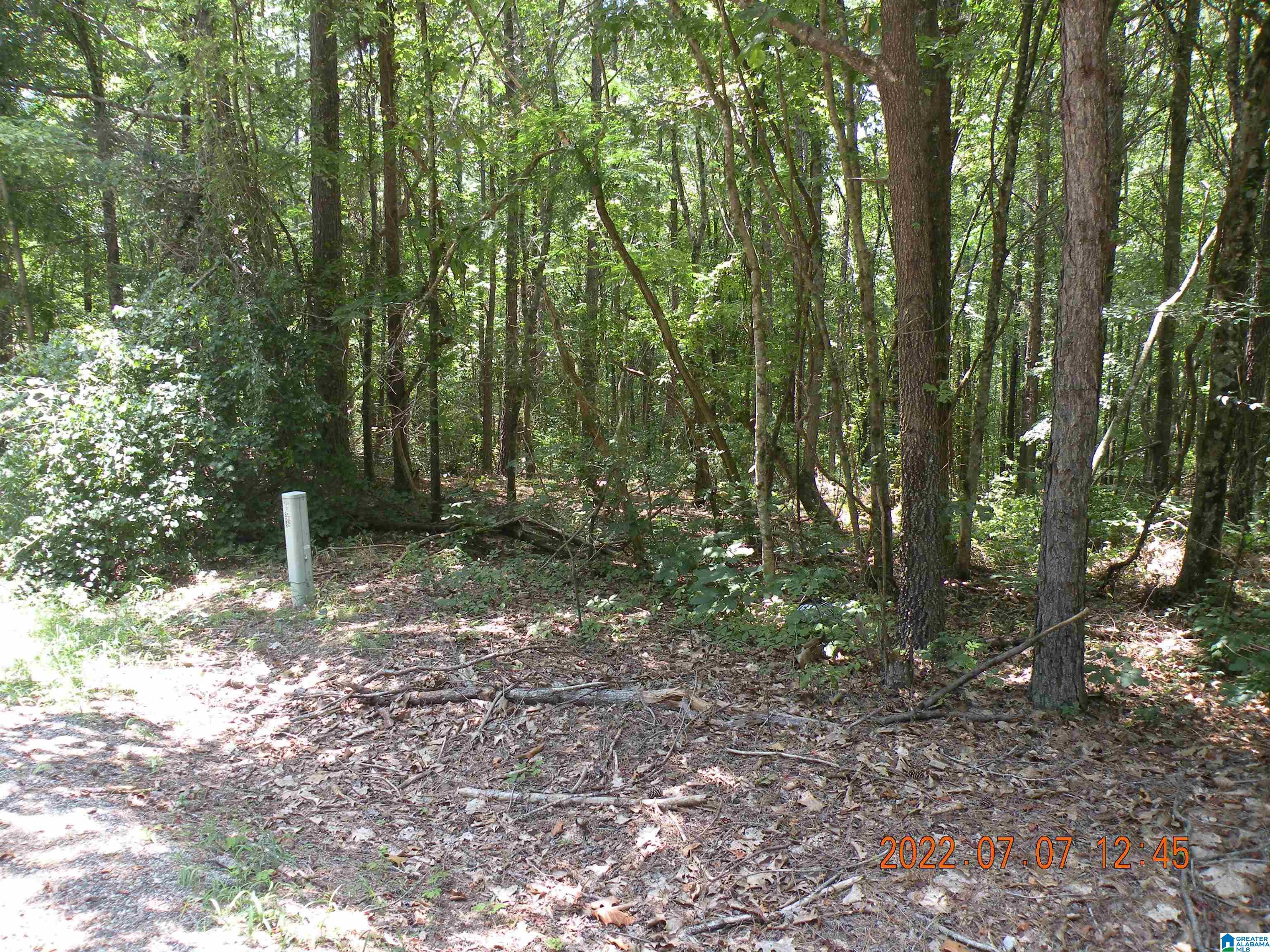 69 Highway 69 Jasper, AL 35504 - Photo 1 of 1