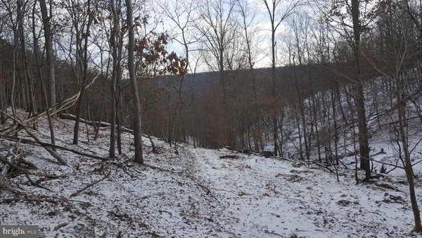 $198,000 | 253 Silver Fox Lane, Romney, WV 26757