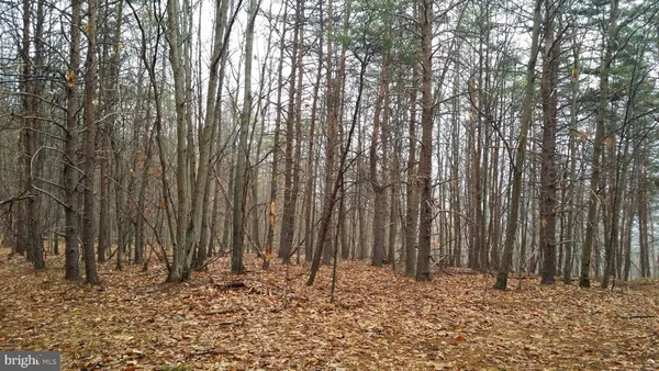 $198,000 | 253 Silver Fox Lane, Romney, WV 26757