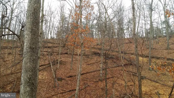 $198,000 | 253 Silver Fox Lane, Romney, WV 26757