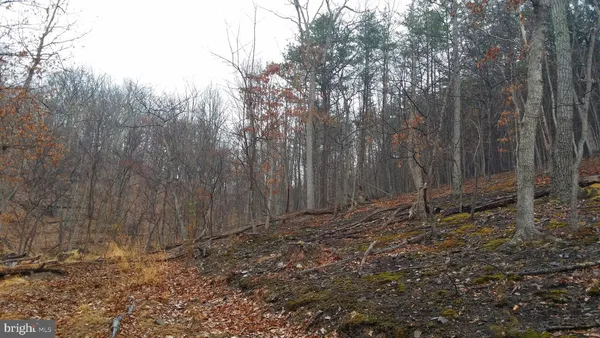 $198,000 | 253 Silver Fox Lane, Romney, WV 26757
