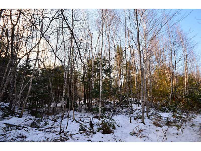 700 Hale Farm Road Lee, ME 04455 - Photo 17 of 22 Land/Lot.