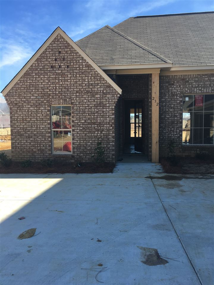 231 Falls Crossing Madison, MS 39110 - Photo 1 of 2 Photo 1