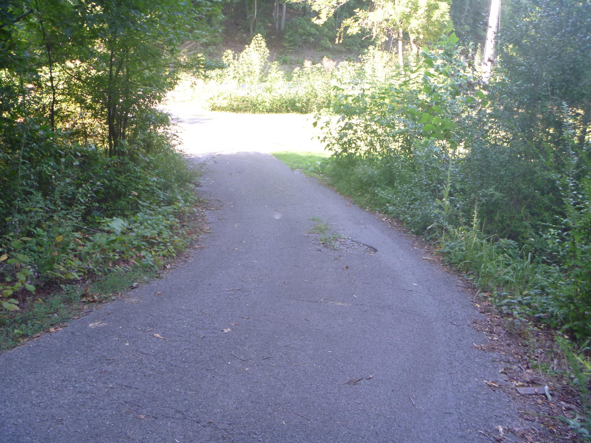 252 Colbert Hollow Road Rock Spring, GA 30739 - Photo 17 of 26 P1070664