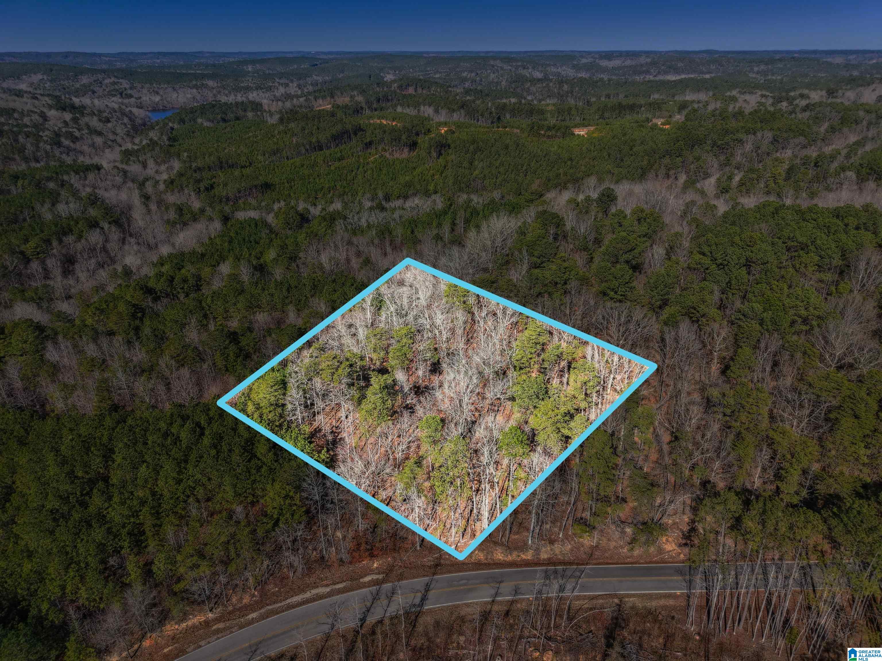 15065 Lock 17 Road, Unit 1 Adger, AL 35006 - Photo 5 of 10