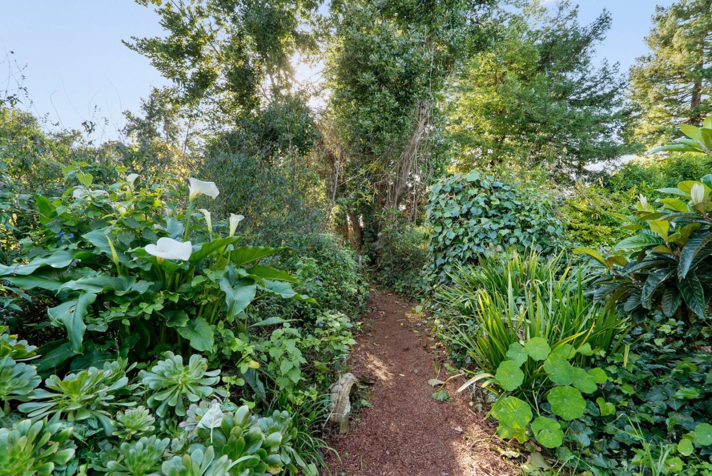 131 Spring Street Santa Cruz, CA 95060 - Photo 33 of 47