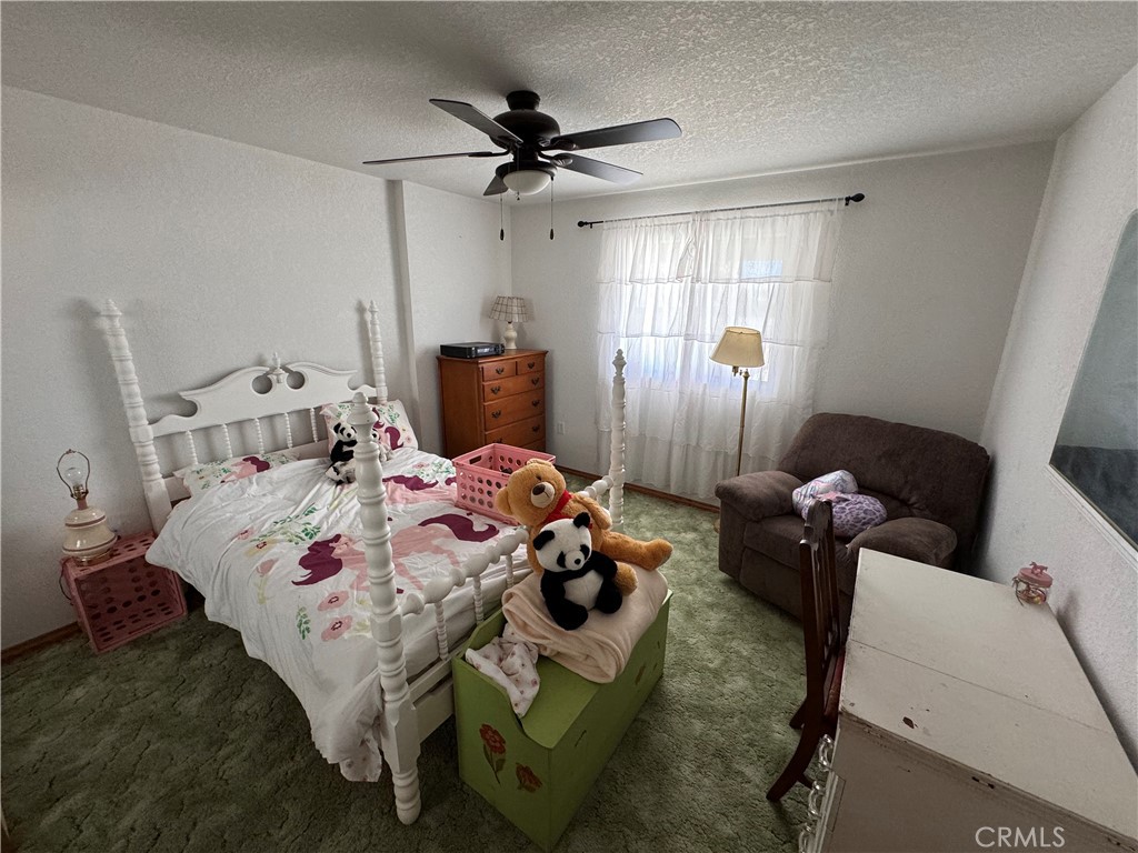 35648 Mountain View Road Hinkley, CA 92347 - Photo 20 of 50