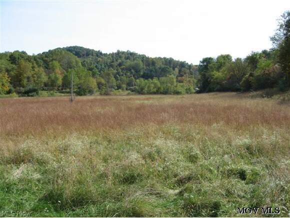 0 Haddox Run Road Pennsboro, WV 26415 - Photo 1 of 1