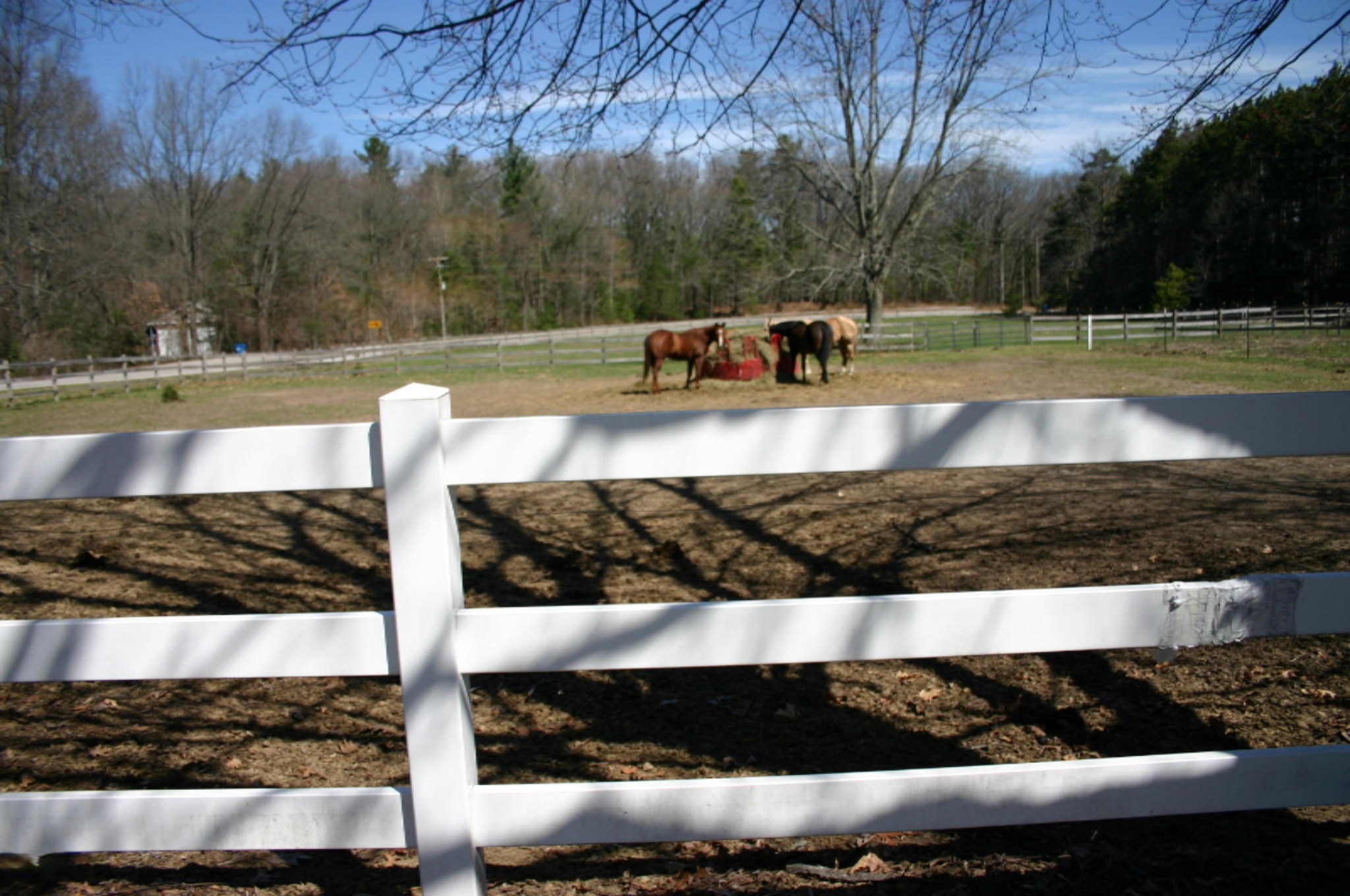14030 Garfield Road Spring Lake, MI 49456 - Photo 29 of 32 27-1