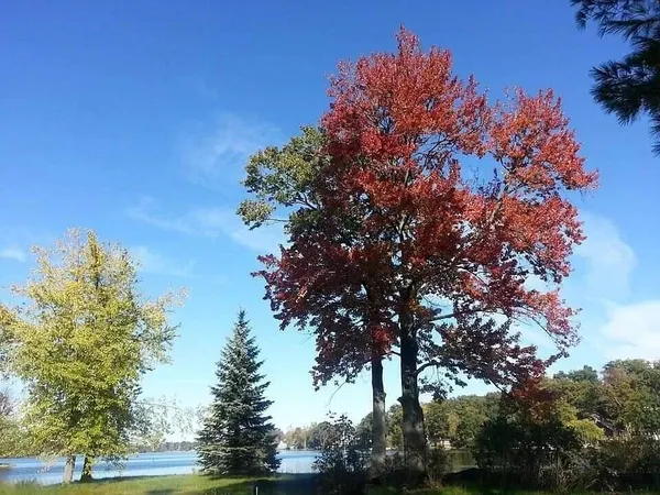 $324,900 | 12387 Sunset Point Drive, Plainwell, MI 49080