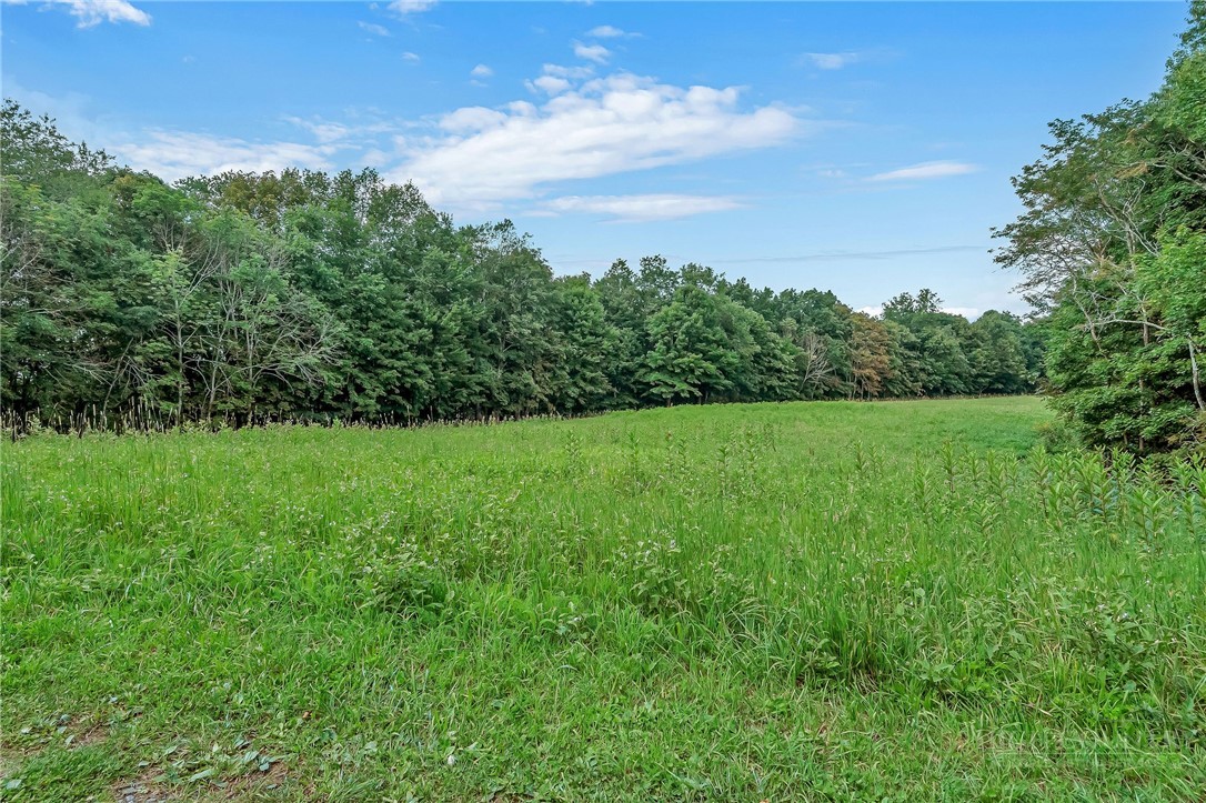 Little Windfall Road Lansing, NC 28643 - Photo 19 of 37 Gallery Image 19
