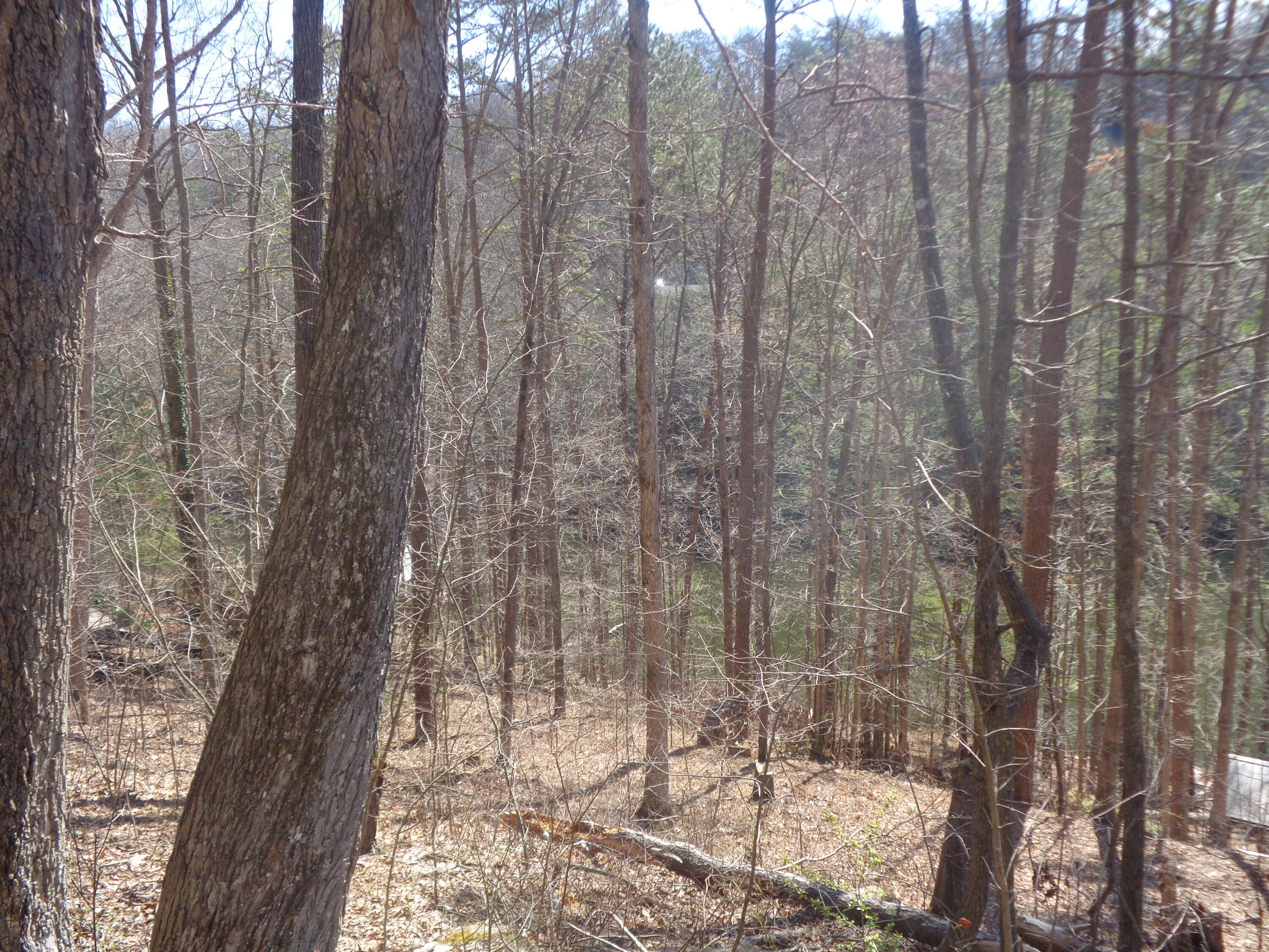 4 Cliffs Edge Road East Bernstadt, KY 40729 - Photo 10 of 12 400