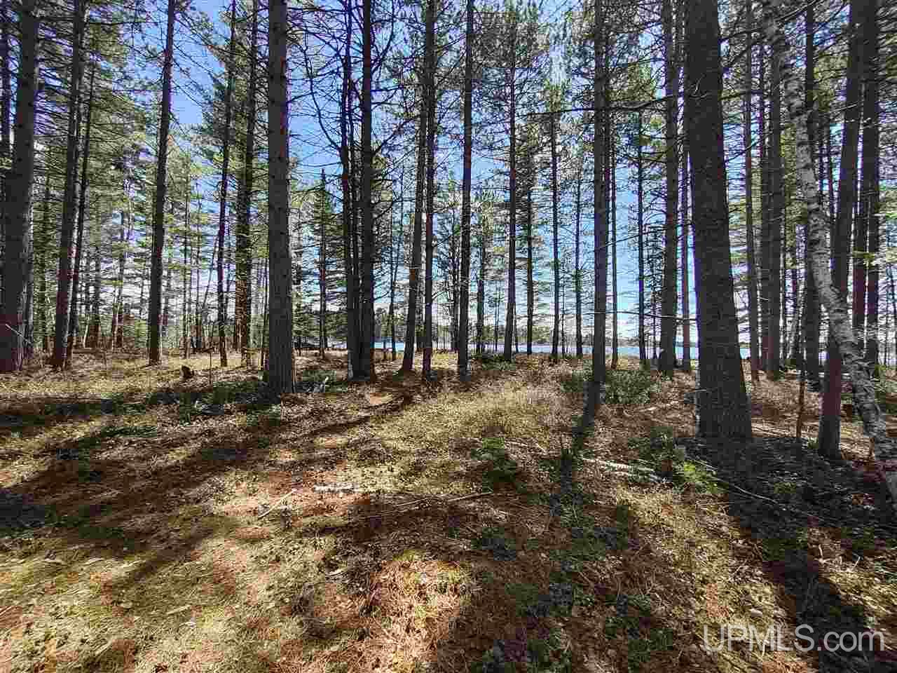 Lot 12 Rice Landing Rd Lake Lake Linden, MI 49945 - Photo 35 of 43