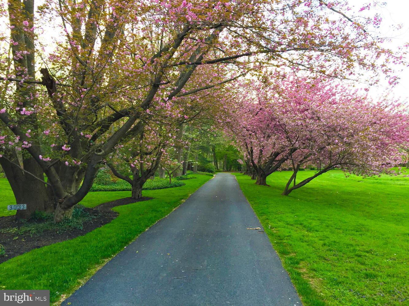 3025 West School House Lane Philadelphia, PA 19144 - Photo 8 of 10