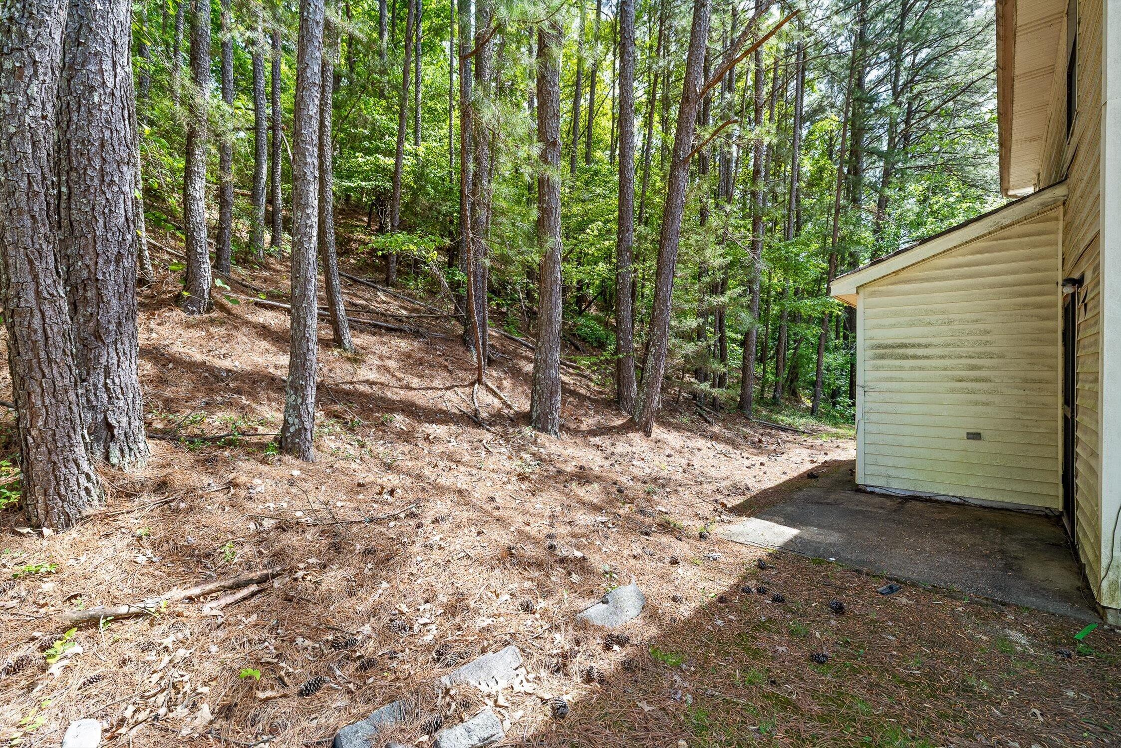 7612 Noah Reid Road Chattanooga, TN 37416 - Photo 26 of 49 28-Noah Reid-28