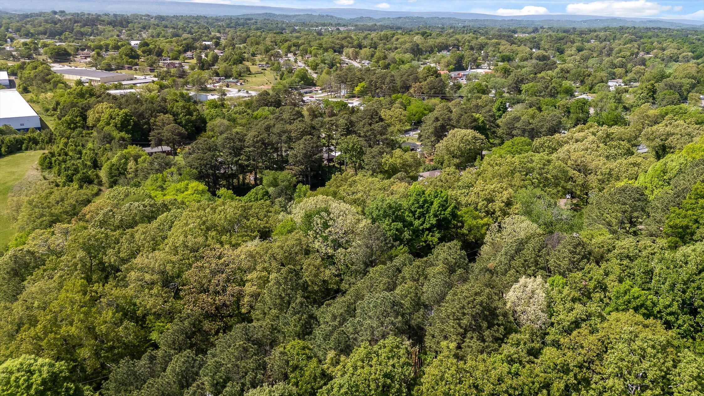 7612 Noah Reid Road Chattanooga, TN 37416 - Photo 45 of 49 45-Noah Reid-45