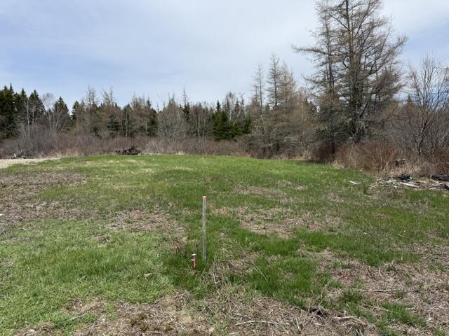 Lot 4 Holmes Bay Farms Road Whiting, ME 04691 - Photo 4 of 18 IMG_9108 (1)